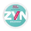 ZYN