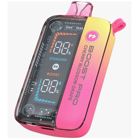PYNE POD BOOST PRO 15000 с ЧЗ!! Original (Черника арбуз)