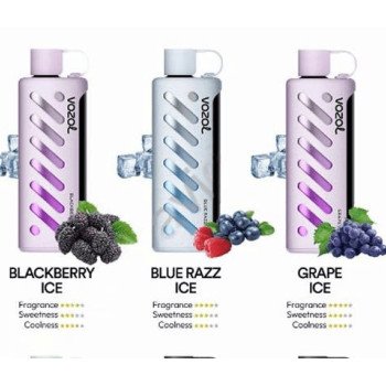 VOZOL GEAR Shisha 25000 ORIGINAL (Черника)